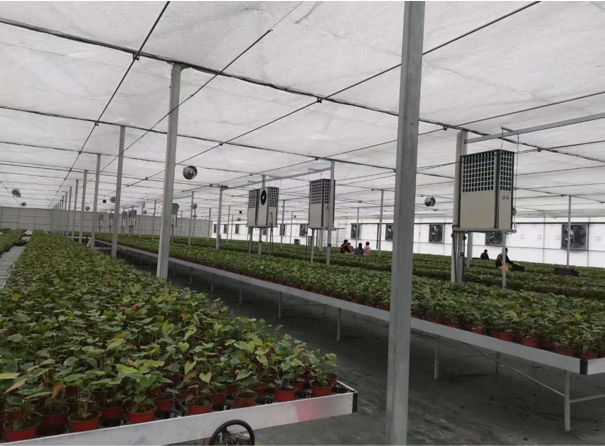 生物質鍋爐-暖風機-蔬菜產業(yè)集團濰坊種子谷基地-楊鳴-10萬㎡